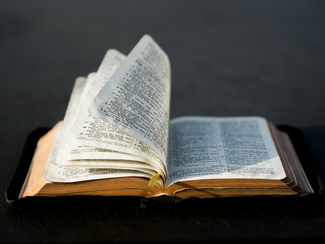 Open Bible with warm morning light